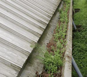 Happy customers in Aldershot who trust The Roof Moss Cleaners for gutter cleaning services